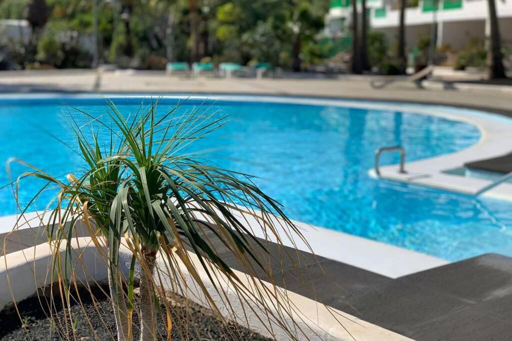 Apartamento Bastian Casas Verdes Costa Teguise Bagian luar foto